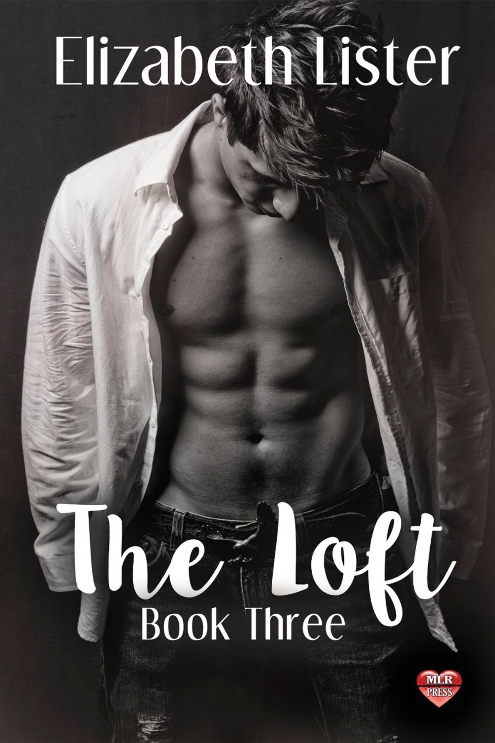 Big bigCover of The Loft #3