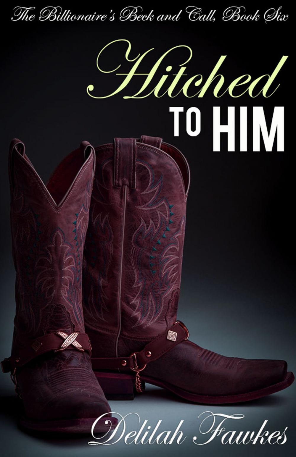Big bigCover of Hitched to Him: The Full Novel
