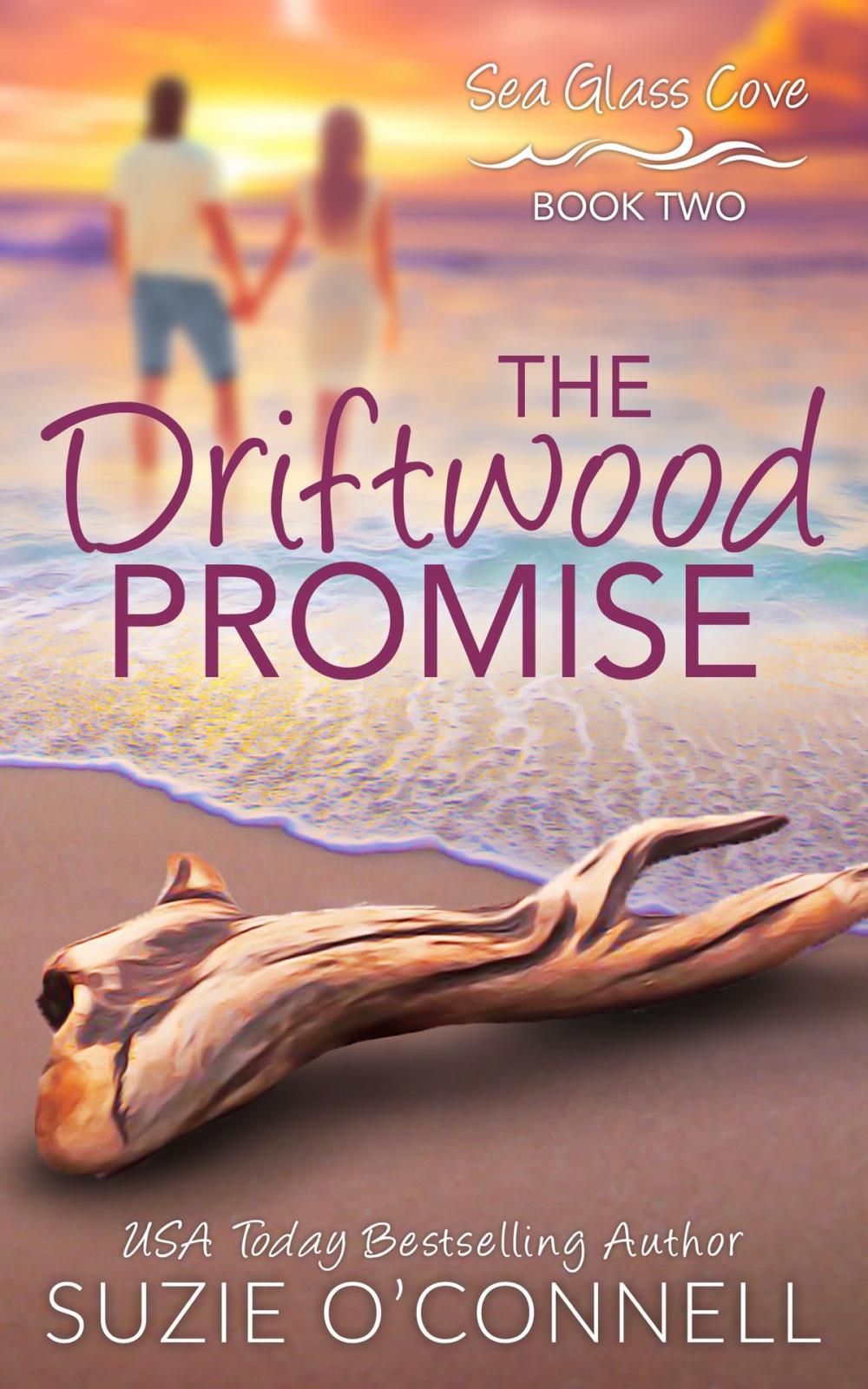 Big bigCover of The Driftwood Promise