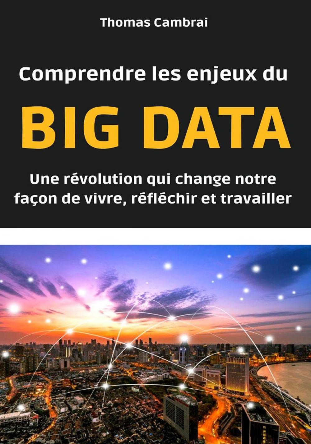 Big bigCover of Comprendre les enjeux du Big data : Une révolution qui change notre façon de vivre, réfléchir et travailler