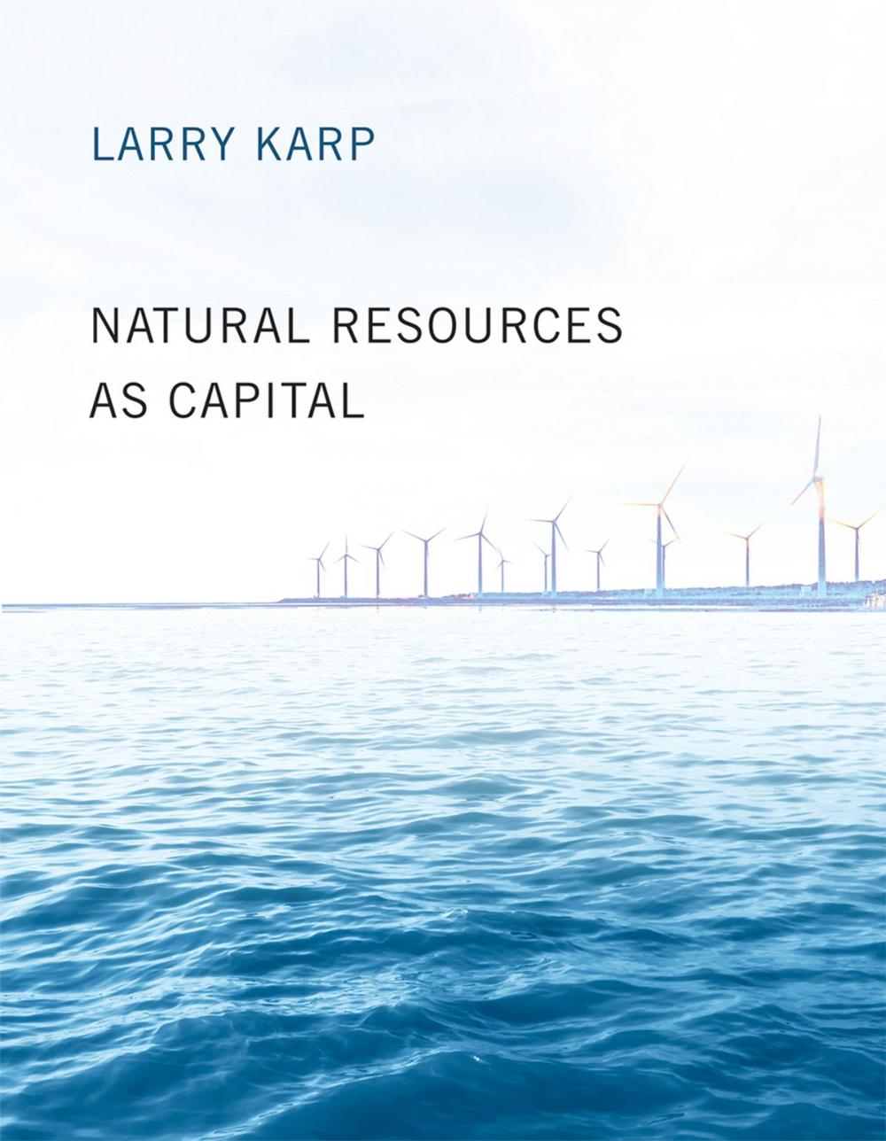 Big bigCover of Natural Resources as Capital