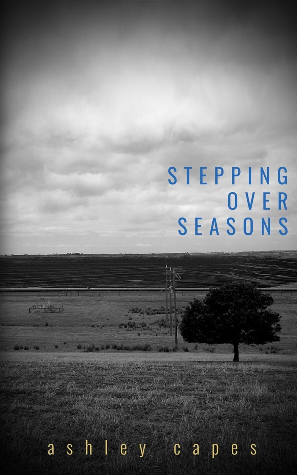 Big bigCover of Stepping Over Seasons