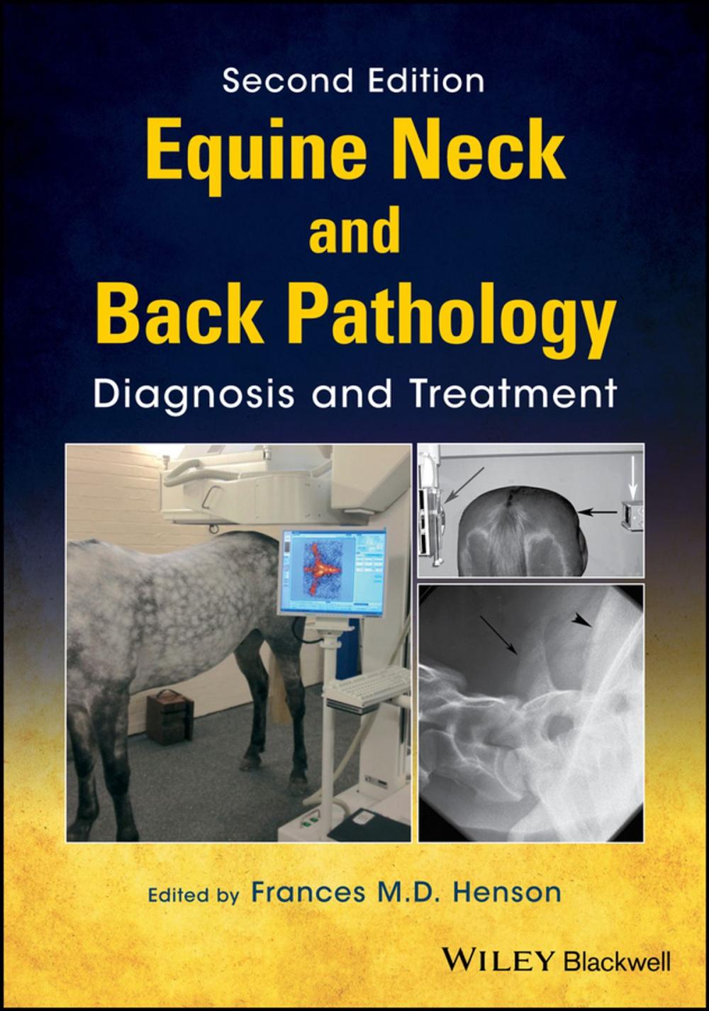 Big bigCover of Equine Neck and Back Pathology
