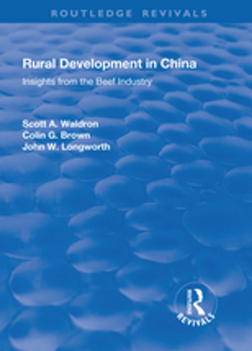 Big bigCover of Rural Development in China