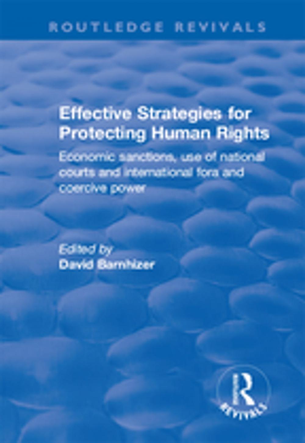Big bigCover of Effective Strategies for Protecting Human Rights