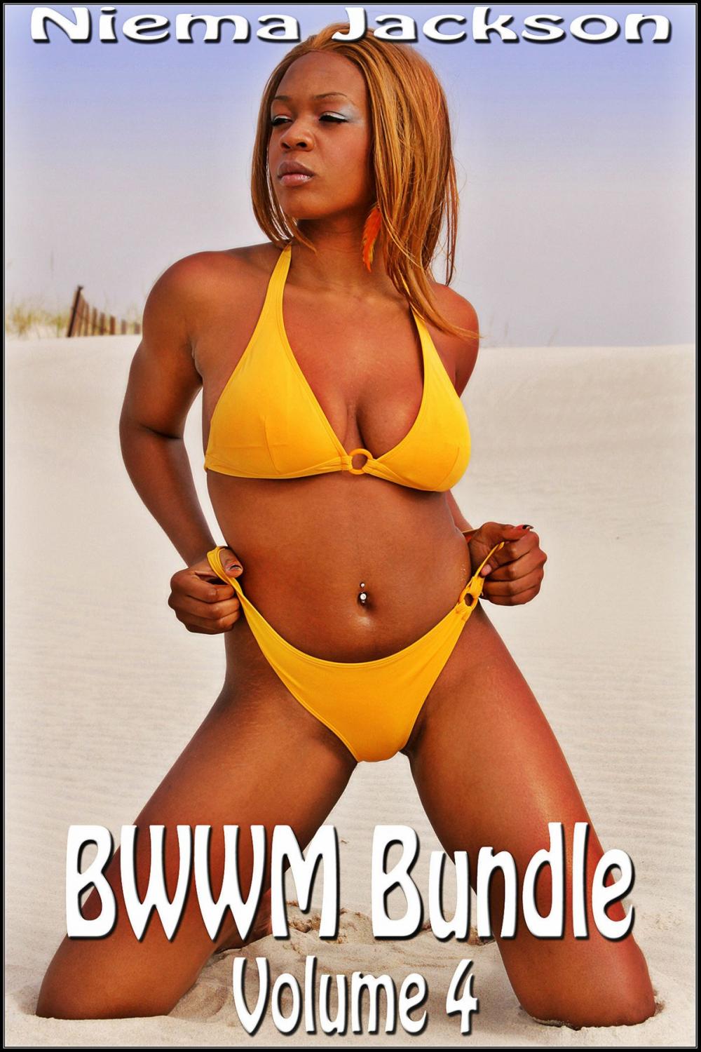 Big bigCover of BWWM Bundle - Volume 4 (Interracial Romance BWWM)