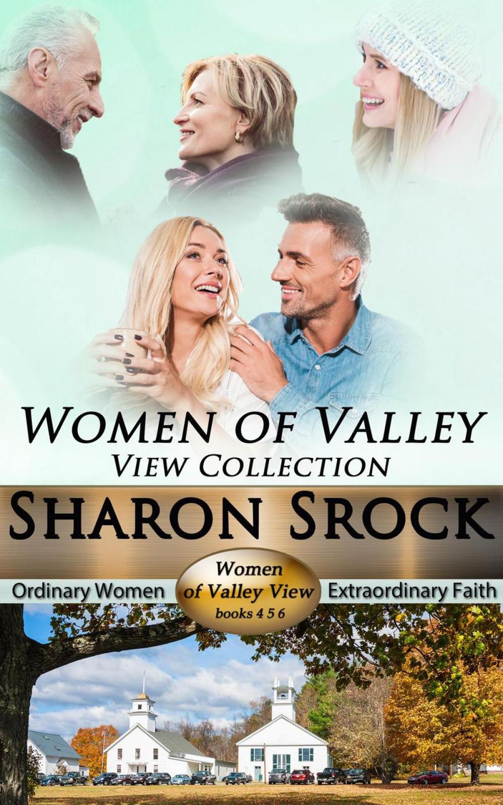 Big bigCover of The Women of Valley View Collection, books 4-6
