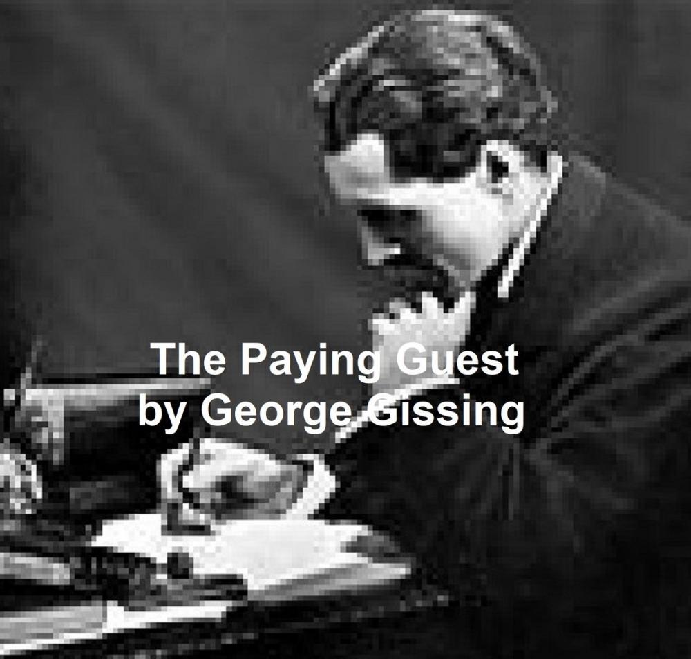 Big bigCover of The Paying Guest
