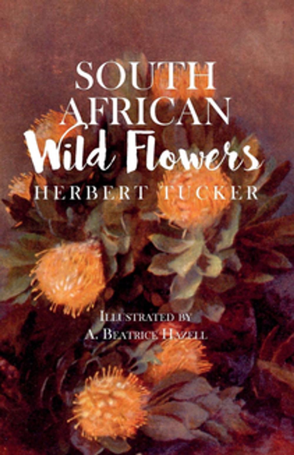 Big bigCover of South African Wild Flowers - Illustrated by A. Beatrice Hazell