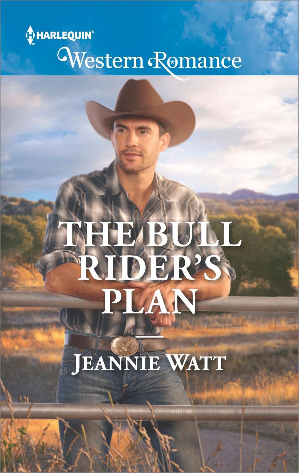 Big bigCover of The Bull Rider's Plan