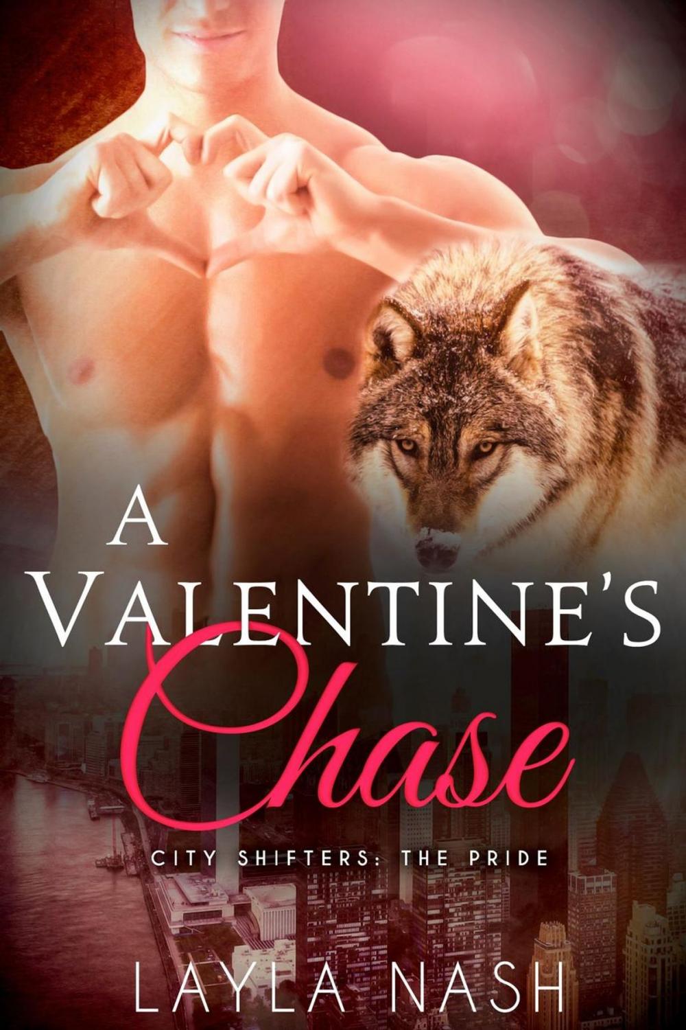 Big bigCover of A Valentine's Chase