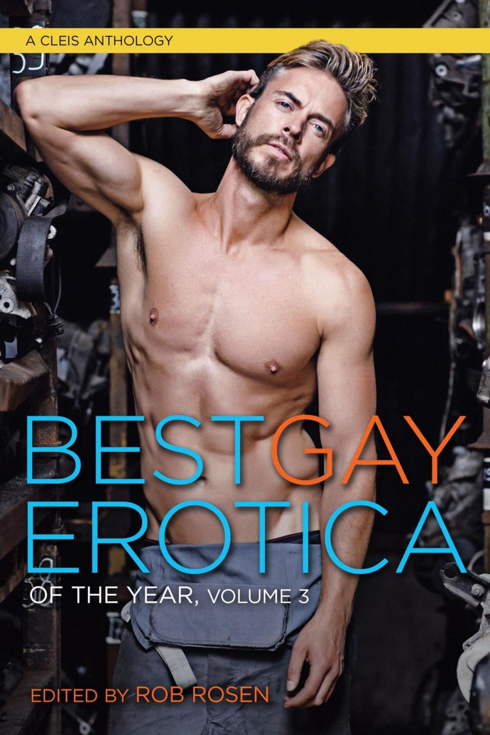 Big bigCover of Best Gay Erotica of the Year