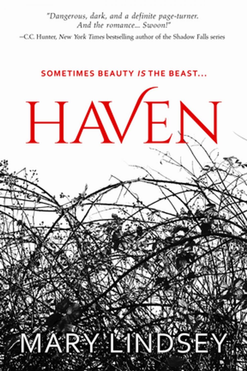 Big bigCover of Haven