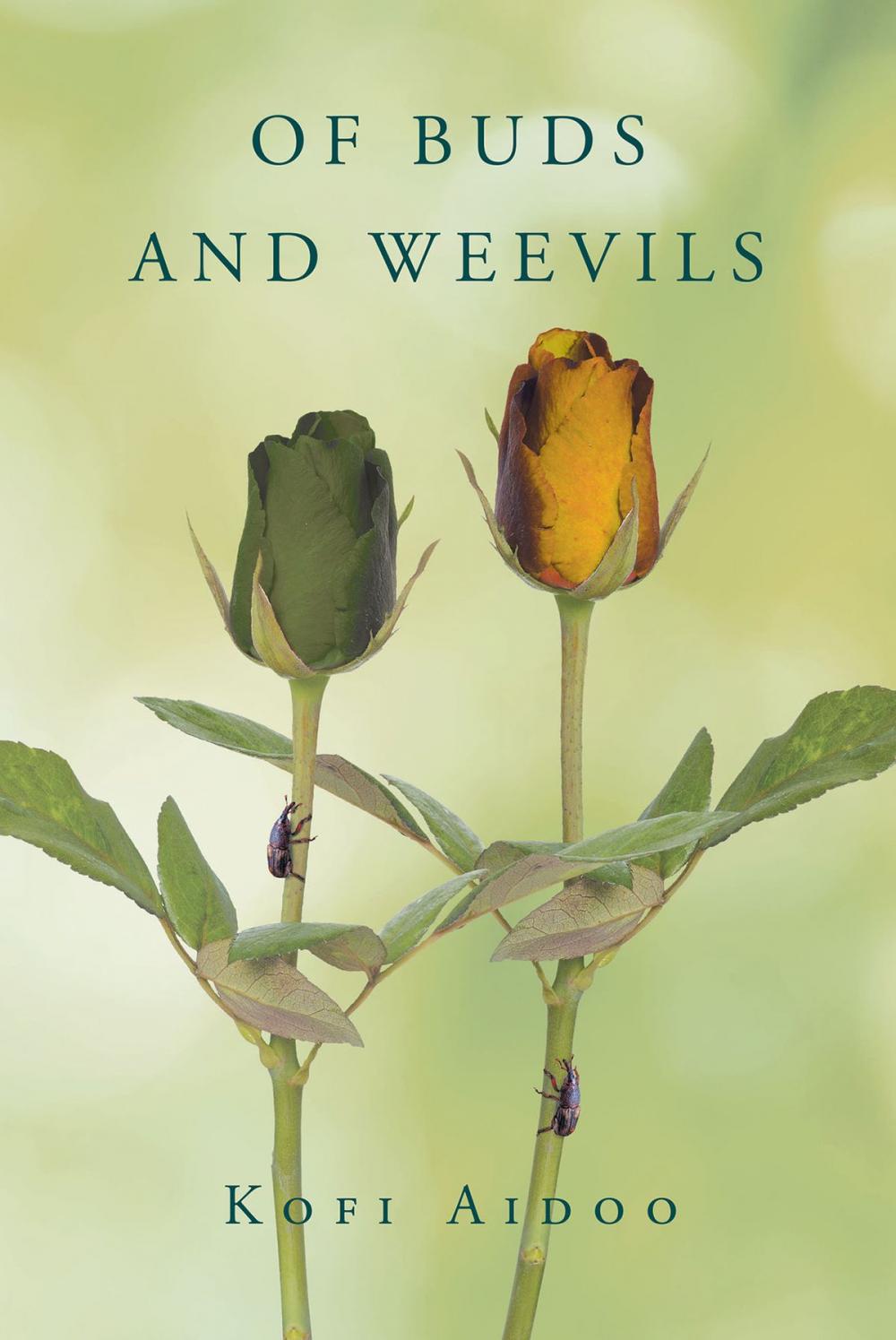 Big bigCover of Of Buds and Weevils