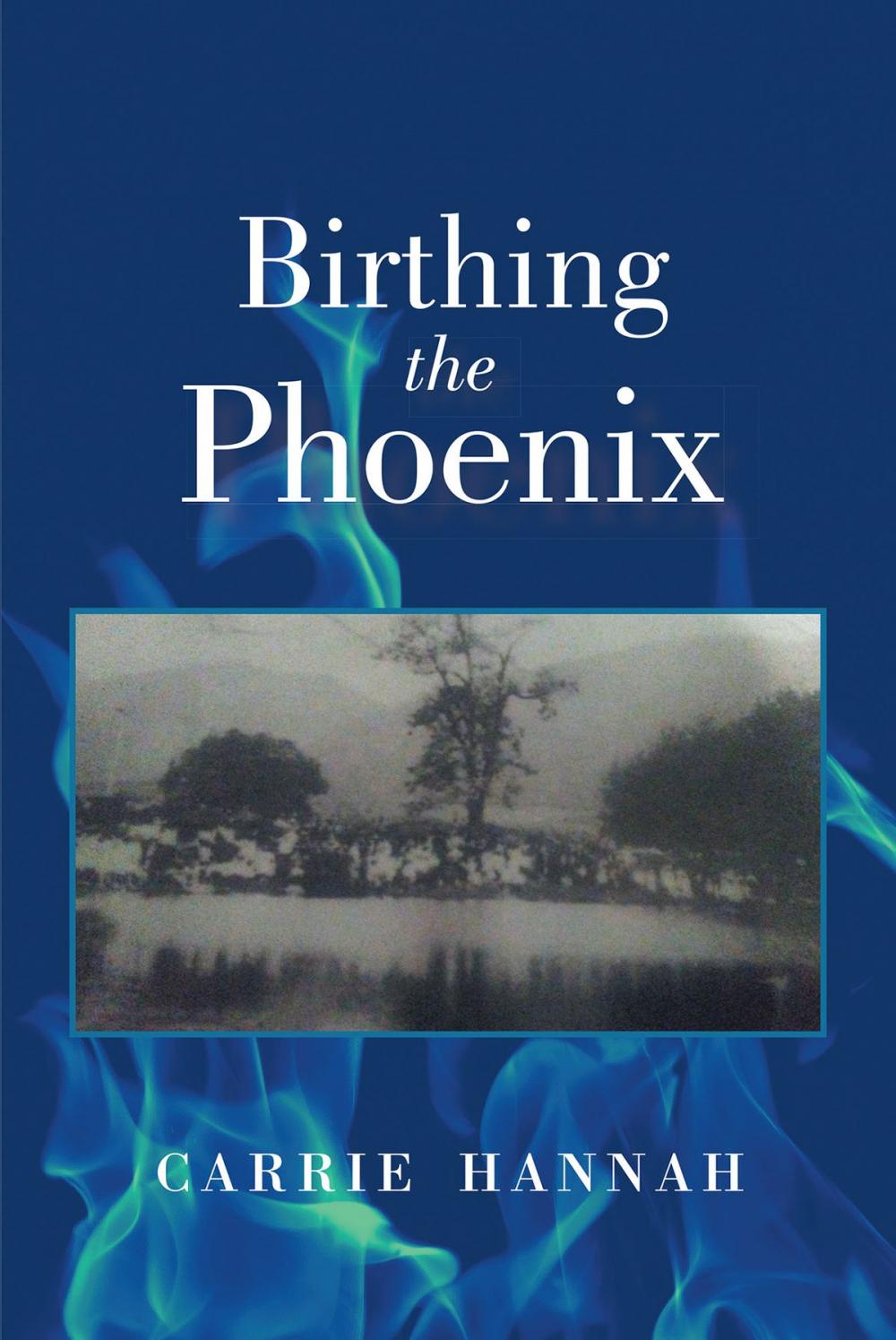 Big bigCover of Birthing the Phoenix