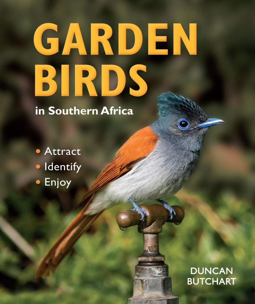 Big bigCover of Garden Birds in Southern Africa