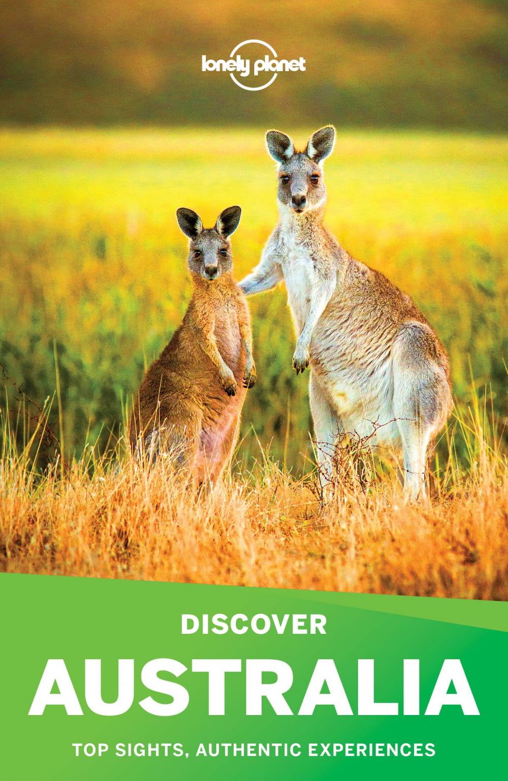 Big bigCover of Lonely Planet Discover Australia