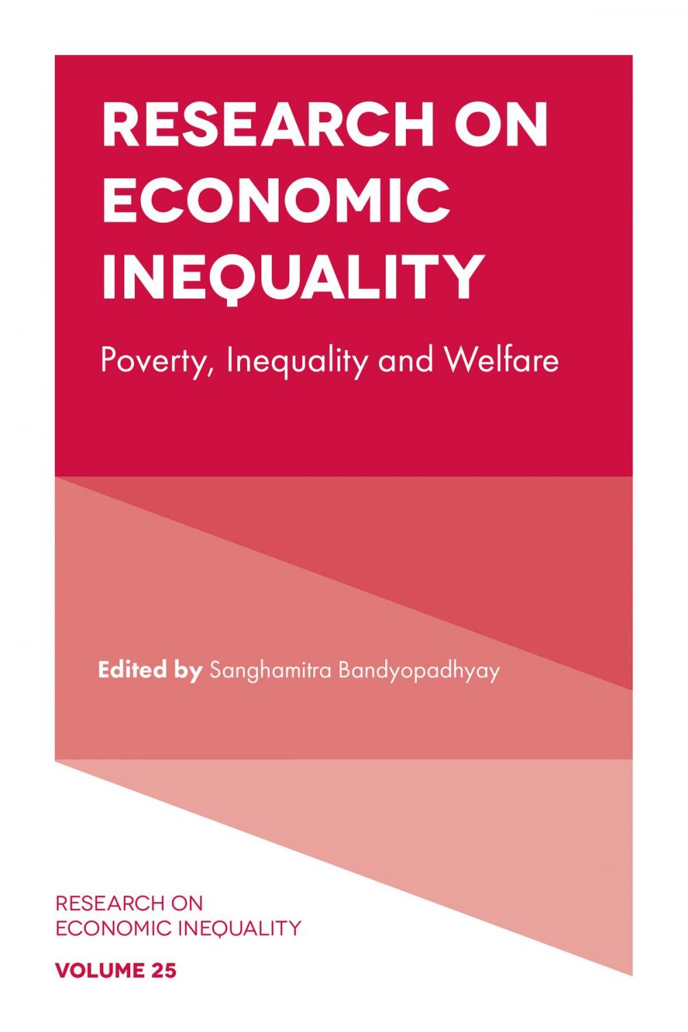 Big bigCover of Research on Economic Inequality