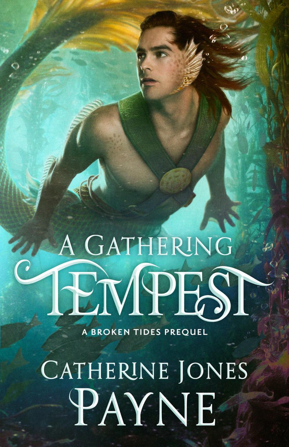 Big bigCover of A Gathering Tempest