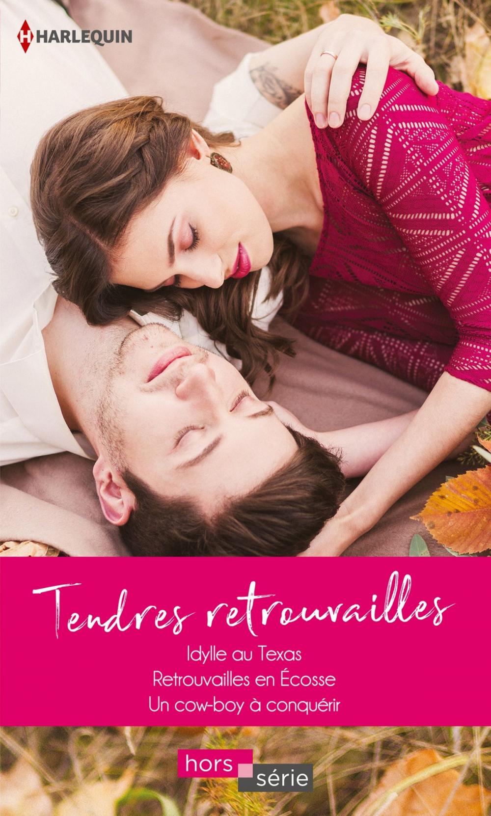 Big bigCover of Tendres retrouvailles