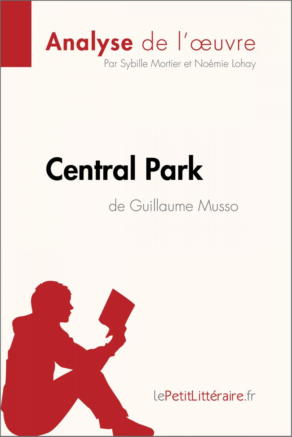 Big bigCover of Central Park de Guillaume Musso (Analyse de l'oeuvre)