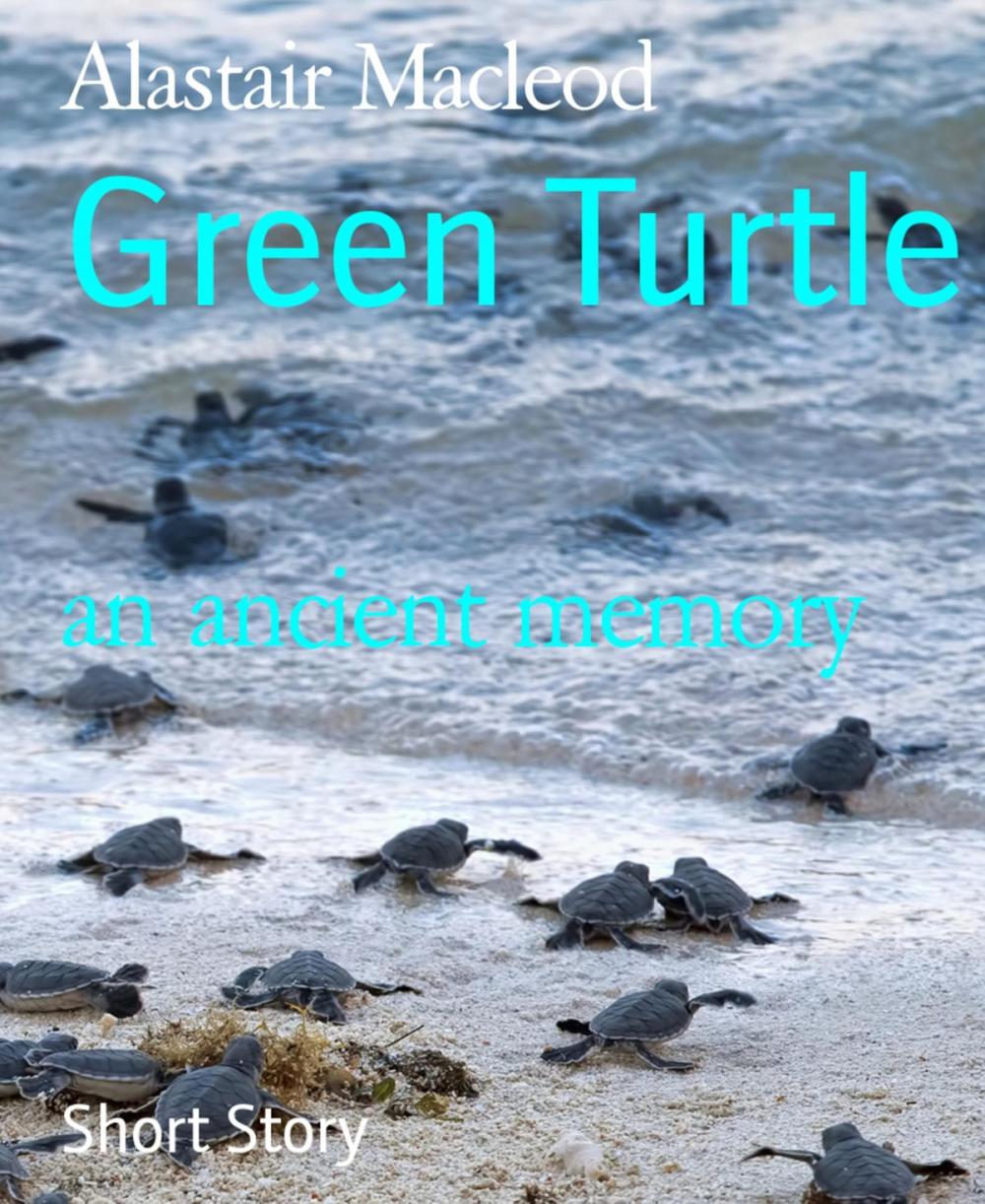 Big bigCover of Green Turtle