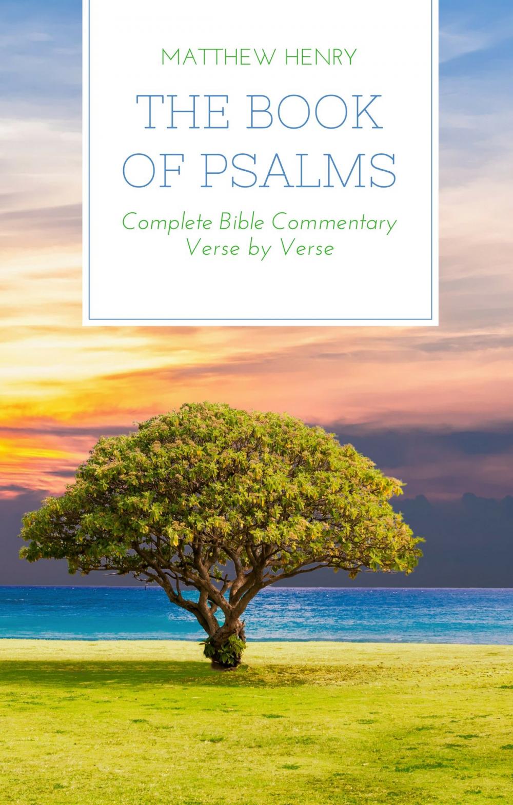 Big bigCover of The Book of Psalms - Complete Bible Commentary Verse by Verse