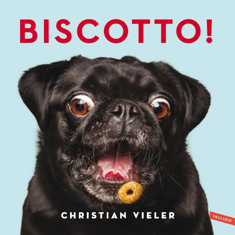Big bigCover of Biscotto!
