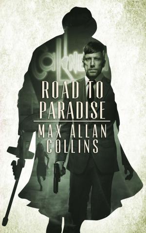 Cover of the book Road to Paradise by Michael Stone