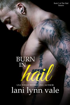 Book cover of Burn in Hail