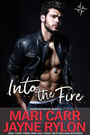 Cover of the book Into the Fire by Erin Nicholas