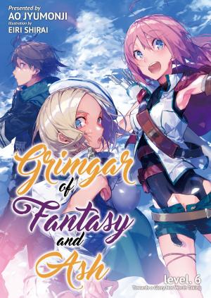 Book cover of Grimgar of Fantasy and Ash: Volume 6