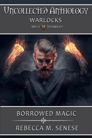 Book cover of Borrowed Magic