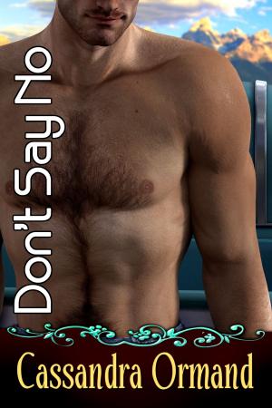 Cover of the book Don't Say No by Robin Stone