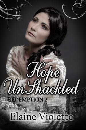 Cover of the book Hope UnShackled by Nathan Overmeyer