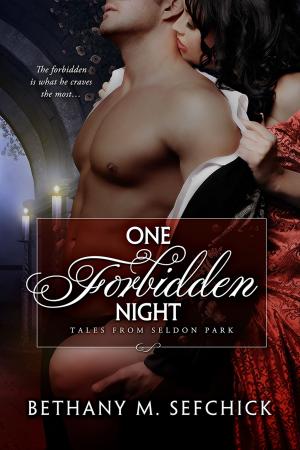 Cover of the book One Forbidden Night by Bethany Sefchick