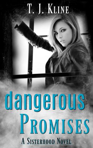 Cover of the book Dangerous Promises by Devon Hartford