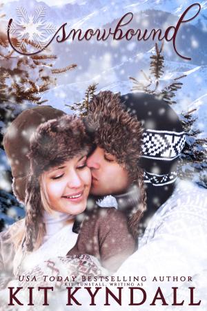 Cover of the book Snowbound by Lacey Greenwood