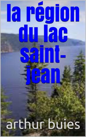 Cover of the book larégion du lac saint jean by laure conan