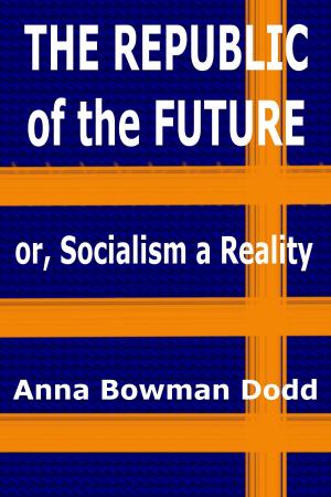 Book cover of The Republic of the Future