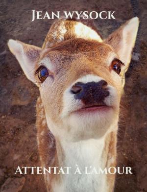 Cover of the book Attentat à l'amour by Peter Barns