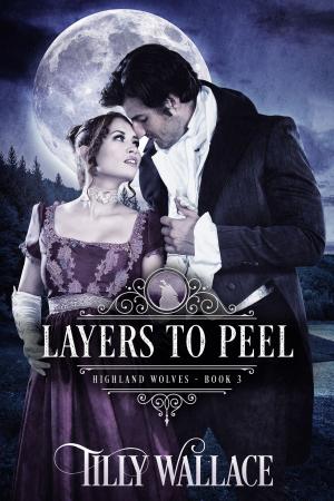 Cover of the book Layers to Peel by Kristine Overbrook