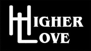 Cover of the book Higher Love by VT