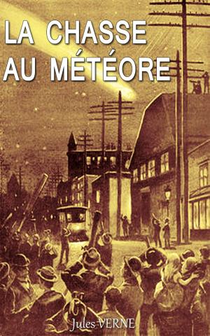 Book cover of La chasse au météore