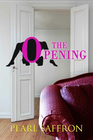 Cover of the book The Opening by Bi Bi Hamble