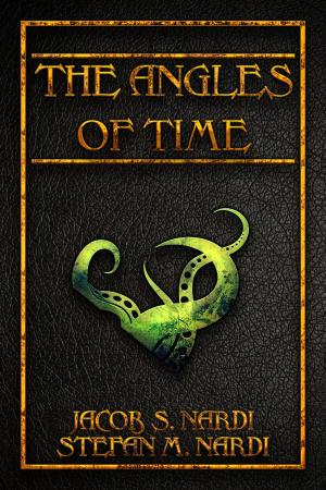 Cover of the book The Angles Of Time by Solitaire Parke