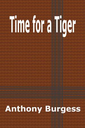 Book cover of Time for a Tiger