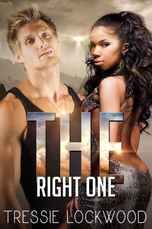 bigCover of the book The Right One by 