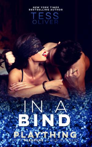 Cover of the book In a Bind by Andi Winter