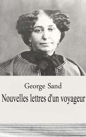 Book cover of Nouvelles lettres d'un voyageur
